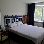 Virmalise 5